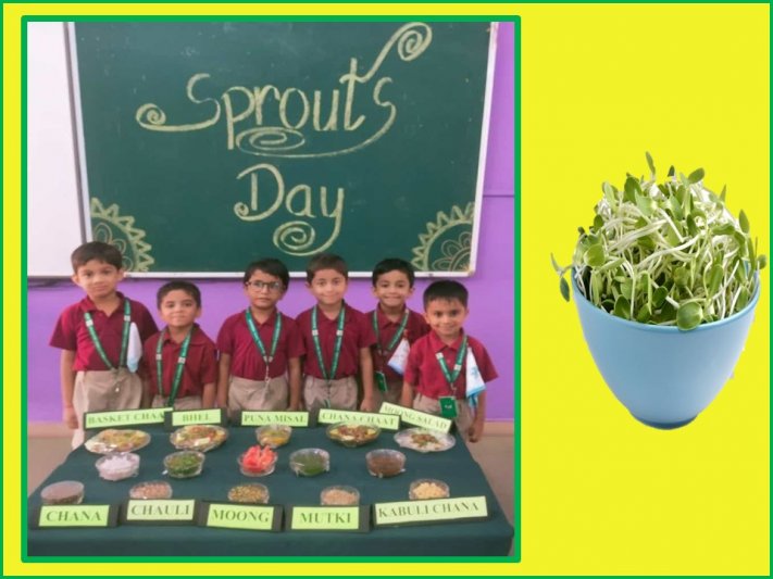 Sprouts Day