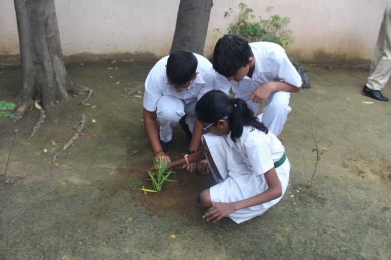 One Child One Plant Campaign